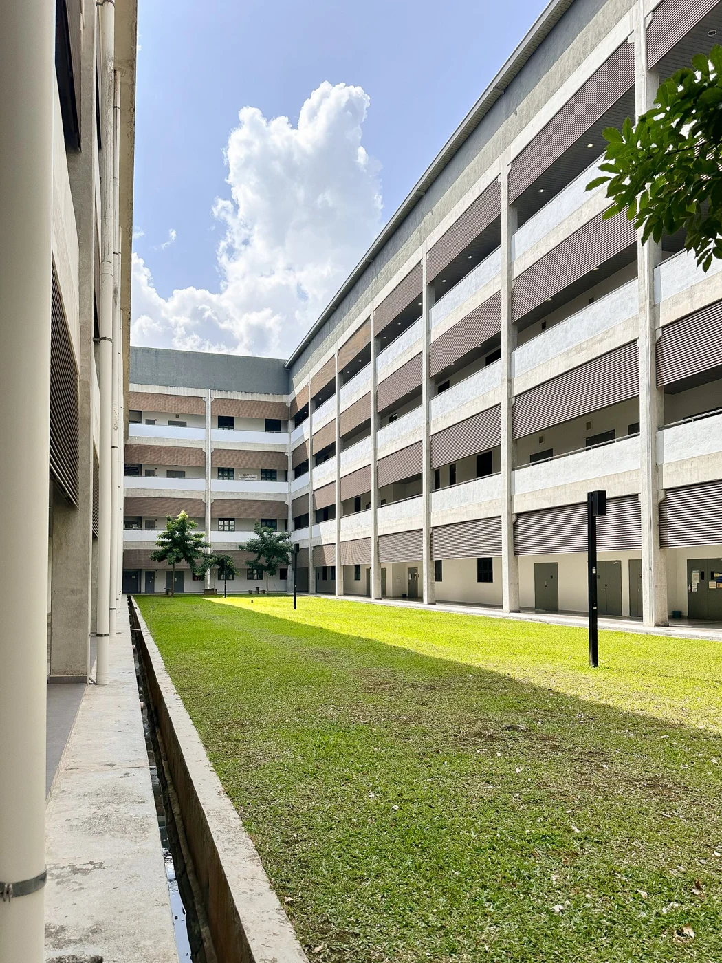An educational institution with a landscaped courtyard
